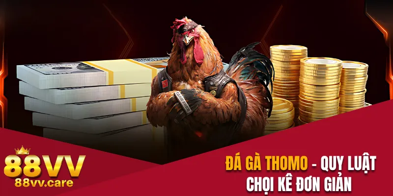 Đá gà Thomo